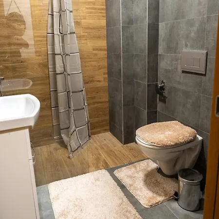 Apartment Toplina Doma *