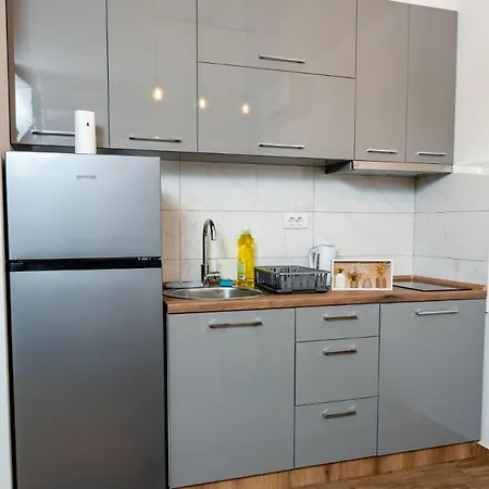 Apartment Toplina Doma *